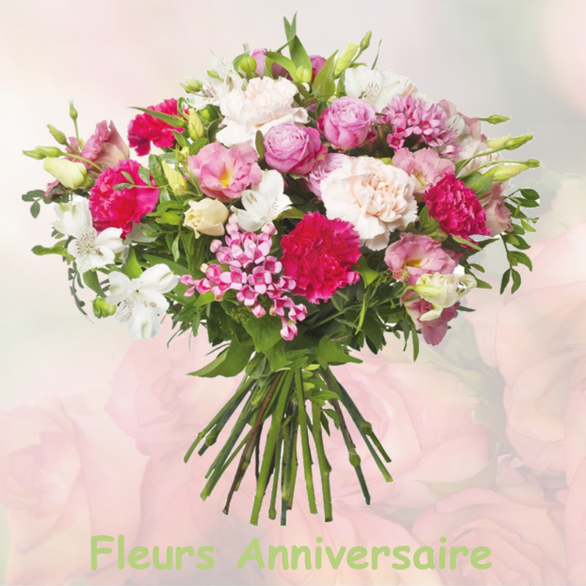 fleurs anniversaire MEYRIGNAC-L-EGLISE